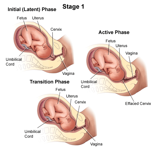 diagram-stages-delivery-1